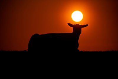 Silhouette of man against orange sunset sky