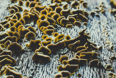 Full frame shot of eggs on beach