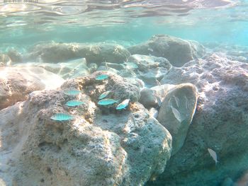 High angle view of rocks at shore