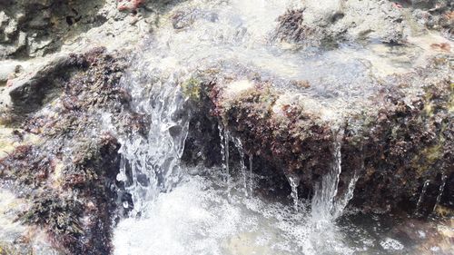 Scenic view of waterfall