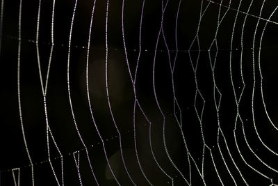 Close-up of spider web against black background