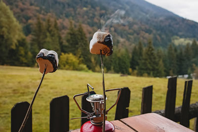Close-up of roasted marshmallows on sticks with a view to autumn mountains. 