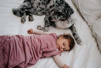 High angle view of dog sleeping on bed at home with baby 