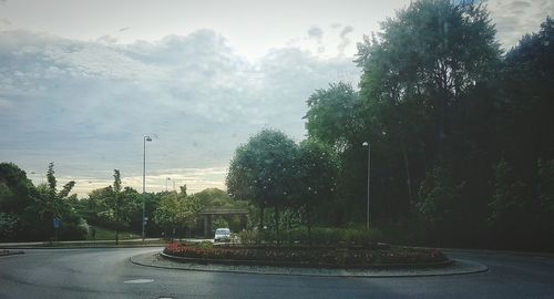 Road along trees
