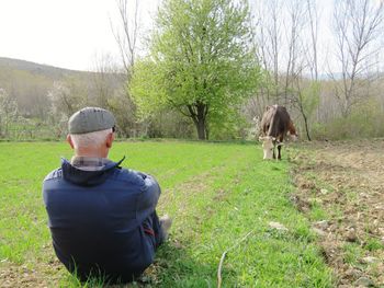 Rear view of horse in a field