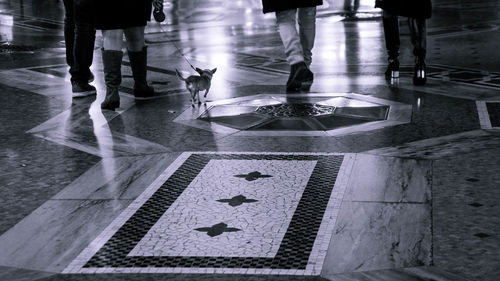 Low section of person walking on floor