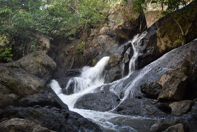 View of waterfall in forest