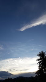 Low angle view of silhouette palm trees against sky