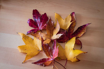 Close-up of autumn leaves on table