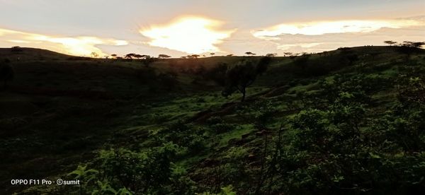 Scenic view of landscape against sky during sunset