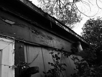 Low angle view of ivy on built structure