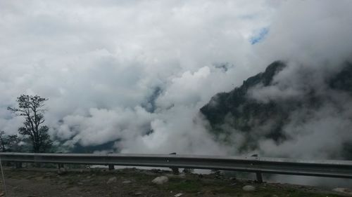 View of trees against cloudy sky