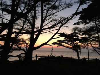 Silhouette trees on beach against sky at sunset