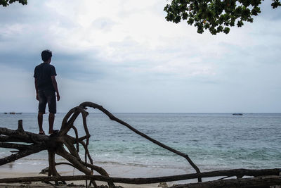 Rear view of man looking at sea against sky