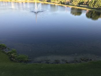 High angle view of bird in lake