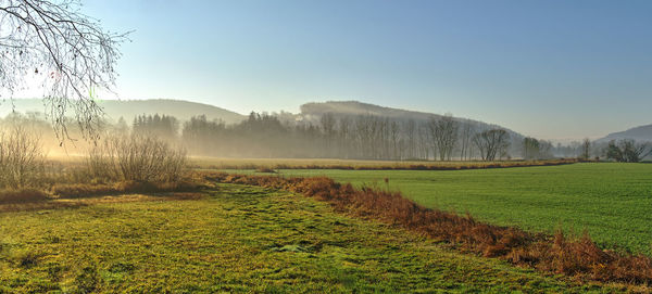 Scenic view of grassy field against sky