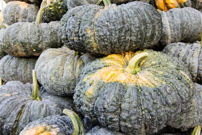 Full frame shot of pumpkins