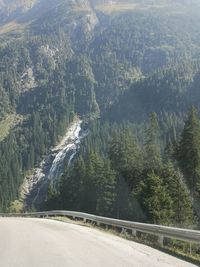 Road amidst trees in forest