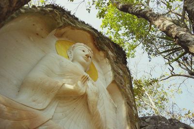 Low angle view of statue against tree trunk