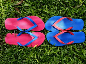 Photo of colorful rubber slippers or flip flops on fresh green grass