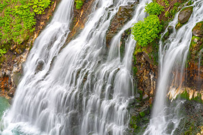 Scenic view of waterfall in forest