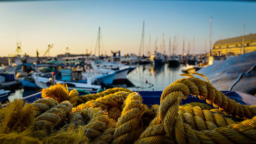 Boats moored in harbor