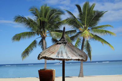 Deck chair by parasol and palm trees at beach against sky