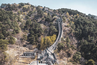 High angle view of trees on mountain