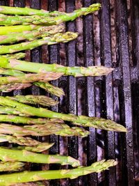 Close-up of food on barbecue grill