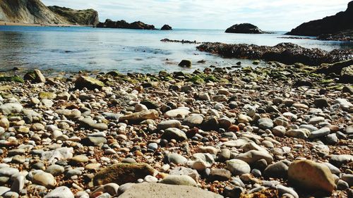 Scenic view of beach