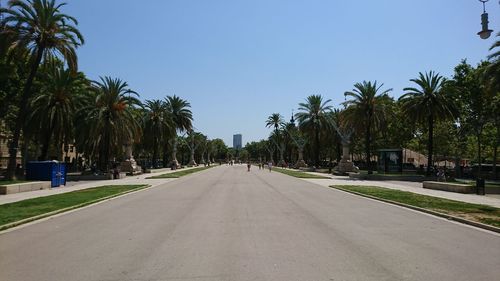 Road by palm trees against clear blue sky