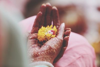 Close-up of hand holding yellow flower