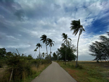 Road amidst palm trees on field against sky