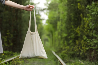 Cropped hand of woman holding leaf