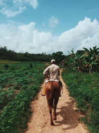 Full length rear view of man horseback riding on dirt road at farm