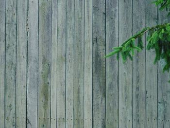 Close-up of wooden door