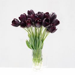 Close-up of maroon tulips in vase