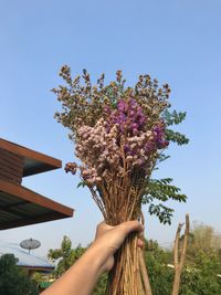 Low angle view of person holding flowering tree against sky