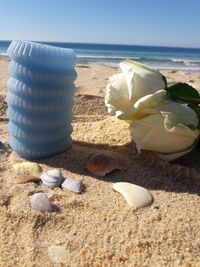 Close-up of seashells on sand at beach against sky