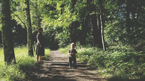 Rear view of people walking in forest