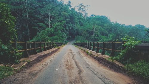 Road amidst trees in forest against sky