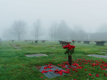 View of cemetery on field in foggy weather