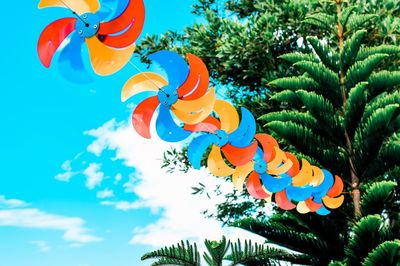 Low angle view of multi colored toy on tree against sky