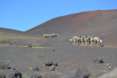 Group of people on desert against clear sky
