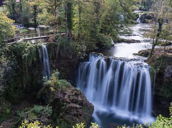 Scenic view of waterfall in forest