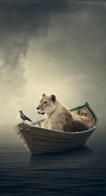 Digital composite image of lion in boat with crow on lake against sky