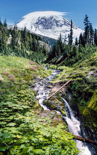 Scenic view of stream amidst trees and mountains against sky