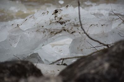 Close-up of snow