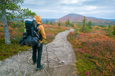 Rear view of man standing on mountain