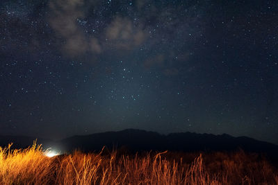 Scenic view of field against sky at night